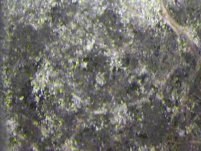 Sample image from PRMI