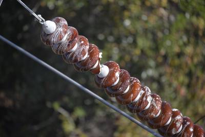 Sample image from Insulator-Defect Detection