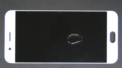 Sample image from MSD