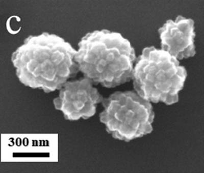 Sample image from EMPS
