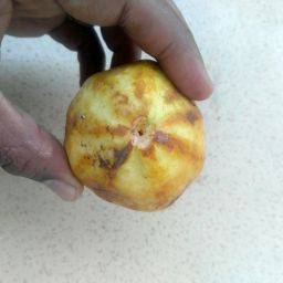 Sample image from FruitNet and FruitBox Dataset