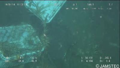 Sample image from Trash-ICRA19