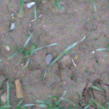 Sample image from EWS