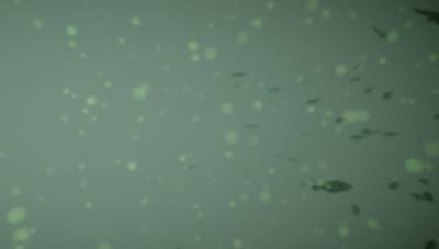 Sample image from BrackishMOT