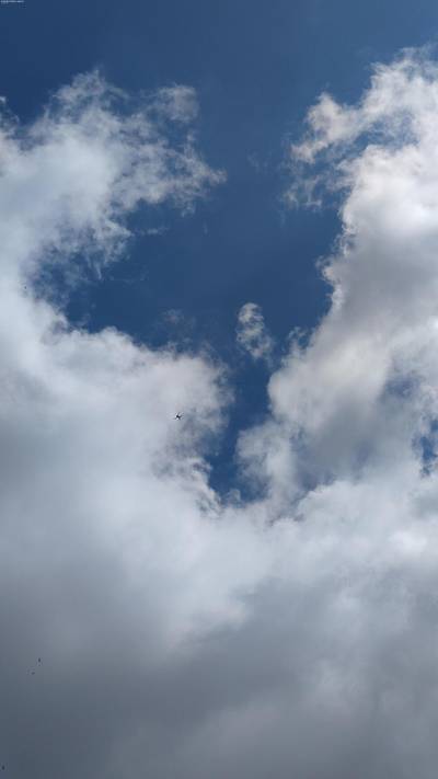 Sample image from Accurate Drone Shapes