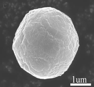 Sample image from EMPS