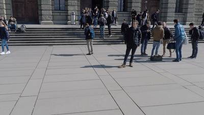 Sample image from Wildtrack
