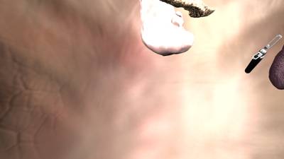 Sample image from SISVSE