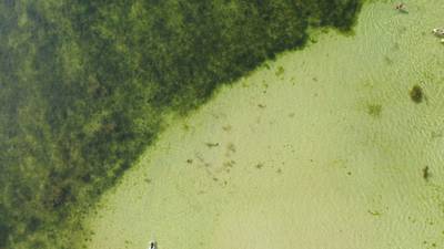 Sample image from AFO