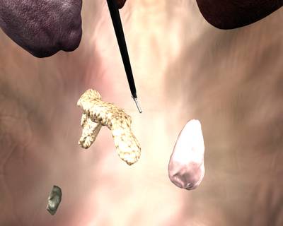 Sample image from SISVSE