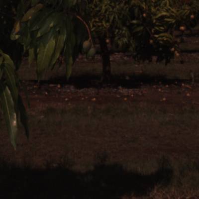 Sample image from ACFR
