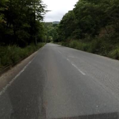 Sample image from RDD2022