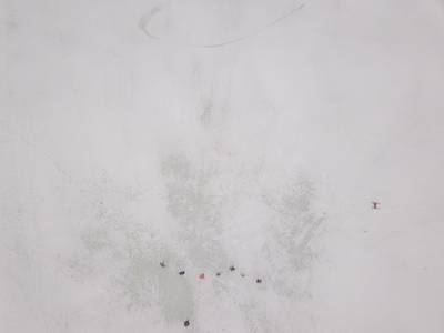 Sample image from LADD: Lacmus Drone Dataset
