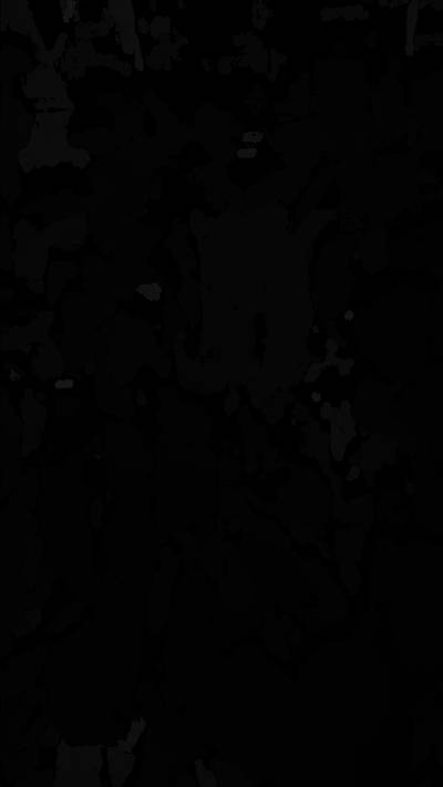 Sample image from BUP19