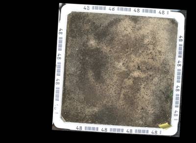 Sample image from OPPD: Full Images