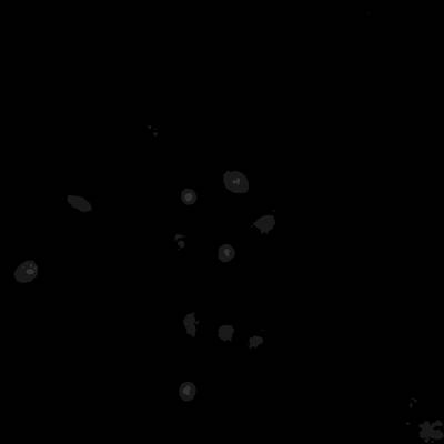 Sample image from Annotated Quantitative Phase Microscopy Cell