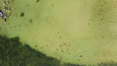 Sample image from AFO