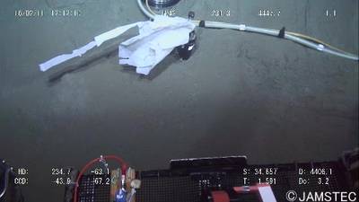 Sample image from Trash-ICRA19