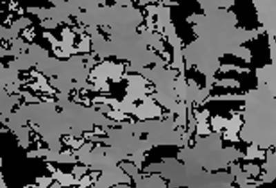 Sample image from KFuji RGB-DS