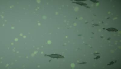 Sample image from BrackishMOT
