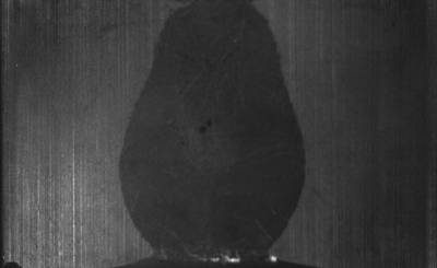 Sample image from Magnetic Tile Surface Defect