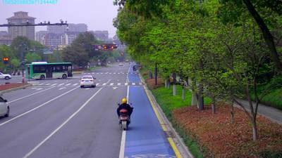 Sample image from S2TLD