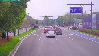 Sample image from S2TLD