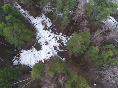 Sample image from LADD: Lacmus Drone Dataset