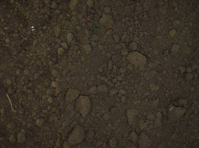 Sample image from Sugar Beets 2016