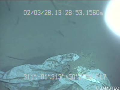 Sample image from Trash-ICRA19