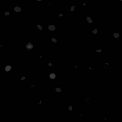 Sample image from Annotated Quantitative Phase Microscopy Cell
