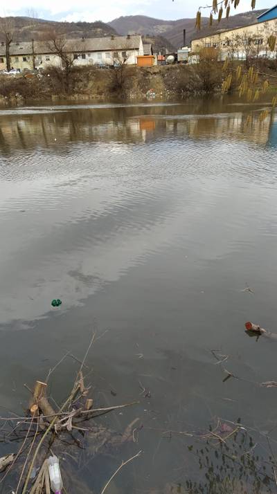 Sample image from Plastic Bottles
