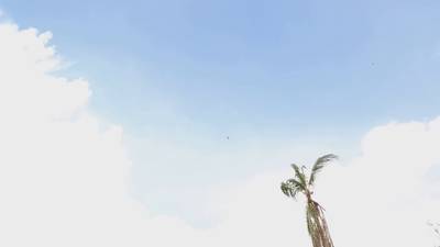 Sample image from Drone Dataset (UAV)
