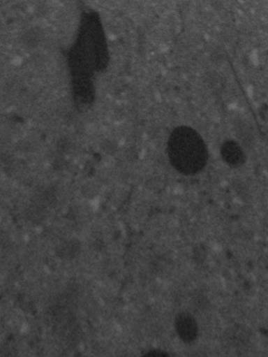 Sample image from Fiber Segmentation