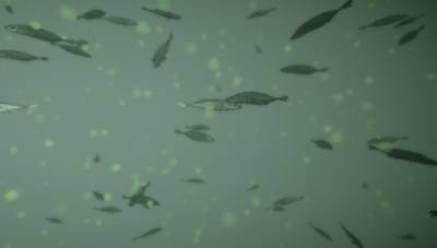 Sample image from BrackishMOT