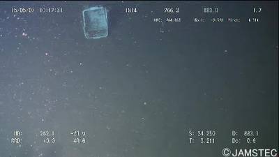 Sample image from Trash-ICRA19