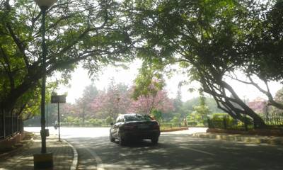Sample image from Mapillary Vistas