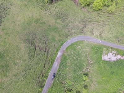 Sample image from Cattle Detection and Counting in UAV Images