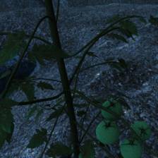 Sample image from Synthetic Plants