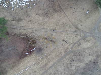 Sample image from LADD: Lacmus Drone Dataset