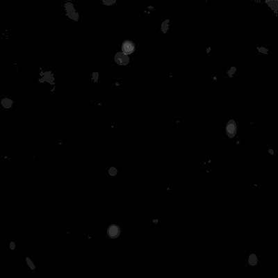 Sample image from Annotated Quantitative Phase Microscopy Cell