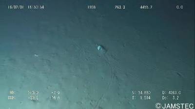 Sample image from Trash-ICRA19