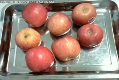 Sample image from Fruit Recognition