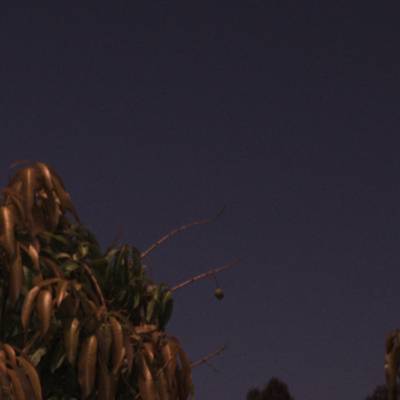 Sample image from ACFR