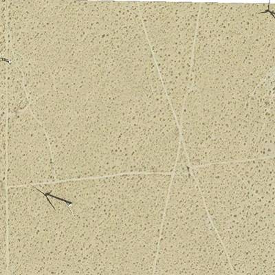 Sample image from California and Arizona Wind Turbines (by Duke Dataplus2020)