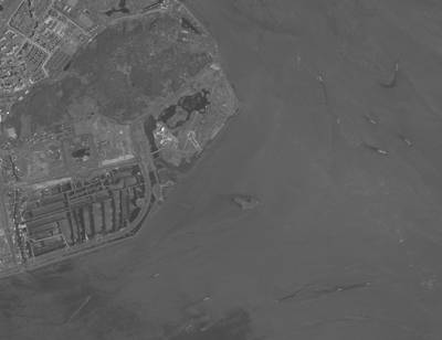 Sample image from iSAID