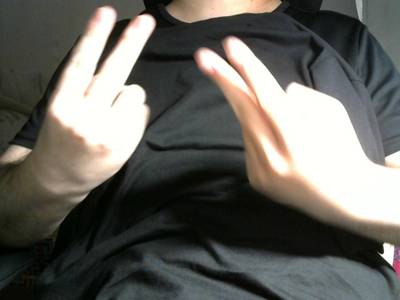 Sample image from Gesture v1.0