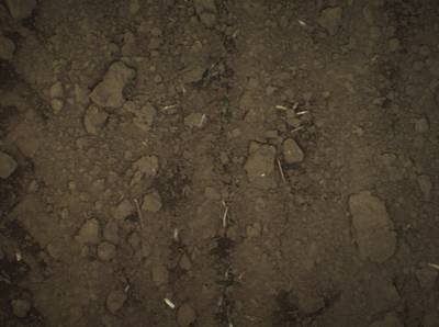 Sample image from Supervisely HRDA Plants Demo