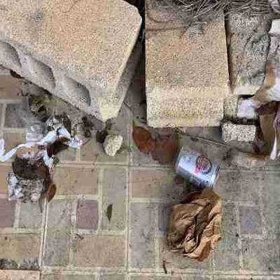 Sample image from AquaTrash