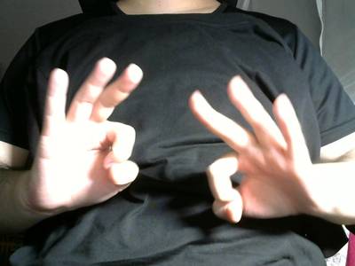 Sample image from Gesture v1.0